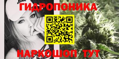 шишки Волгодонск