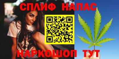 шишки Волгодонск
