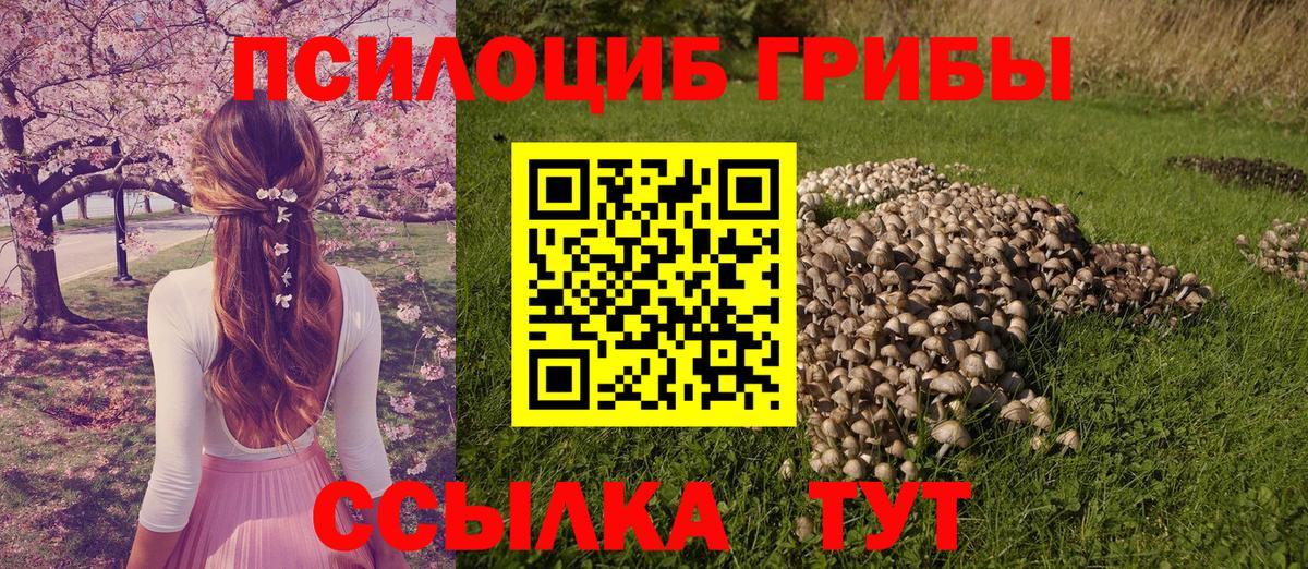 Коряжма  Галлюциногенные грибы ЛСД  Вход с VPN 